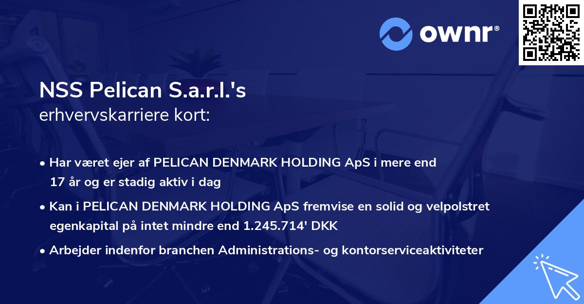 NSS Pelican S.a.r.l.'s erhvervskarriere kort