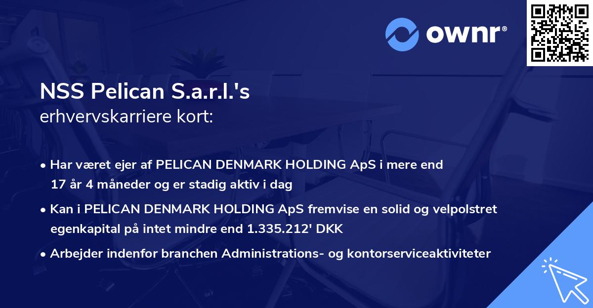NSS Pelican S.a.r.l.'s erhvervskarriere kort