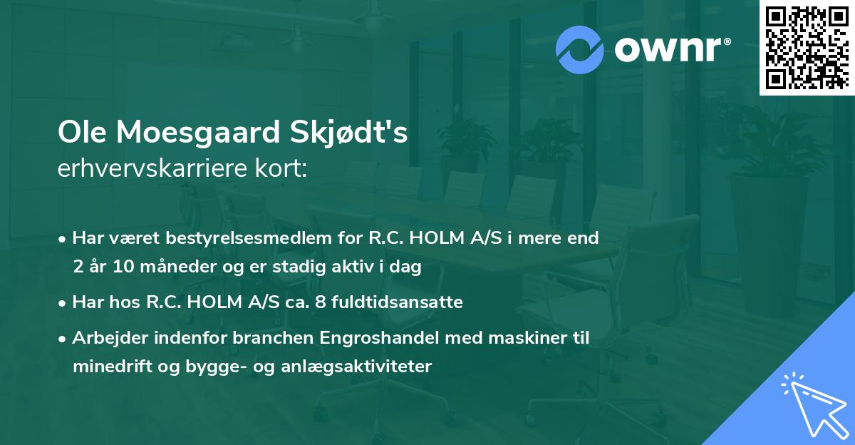 Ole Moesgaard Skjødt's erhvervskarriere kort