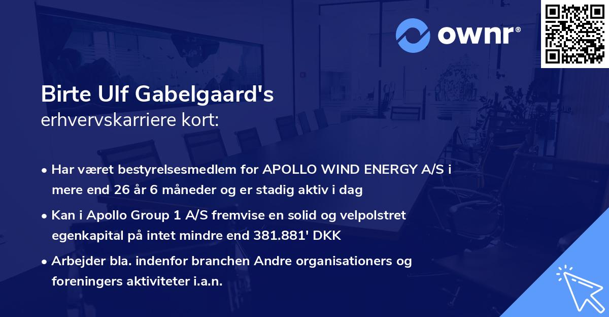 Birte Ulf Gabelgaard's erhvervskarriere kort