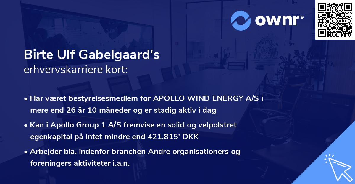 Birte Ulf Gabelgaard's erhvervskarriere kort