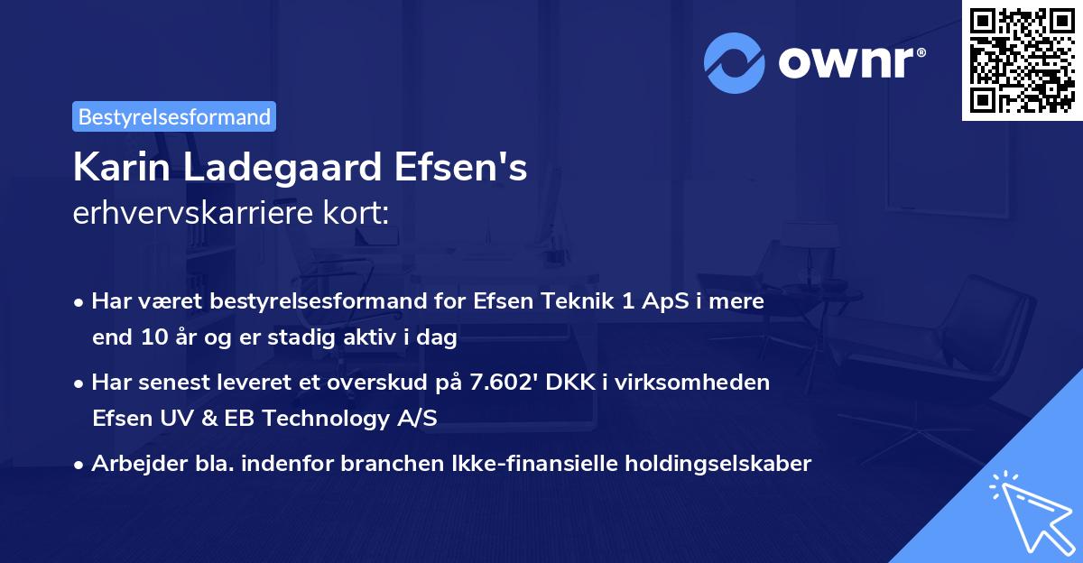 Karin Ladegaard Efsen's erhvervskarriere kort