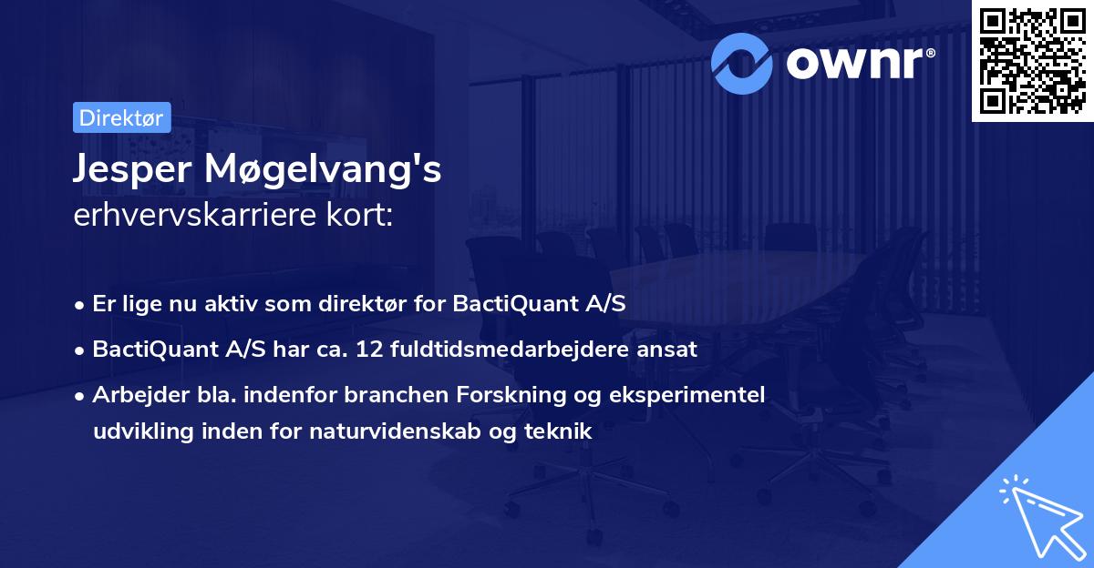 Jesper Møgelvang's erhvervskarriere kort