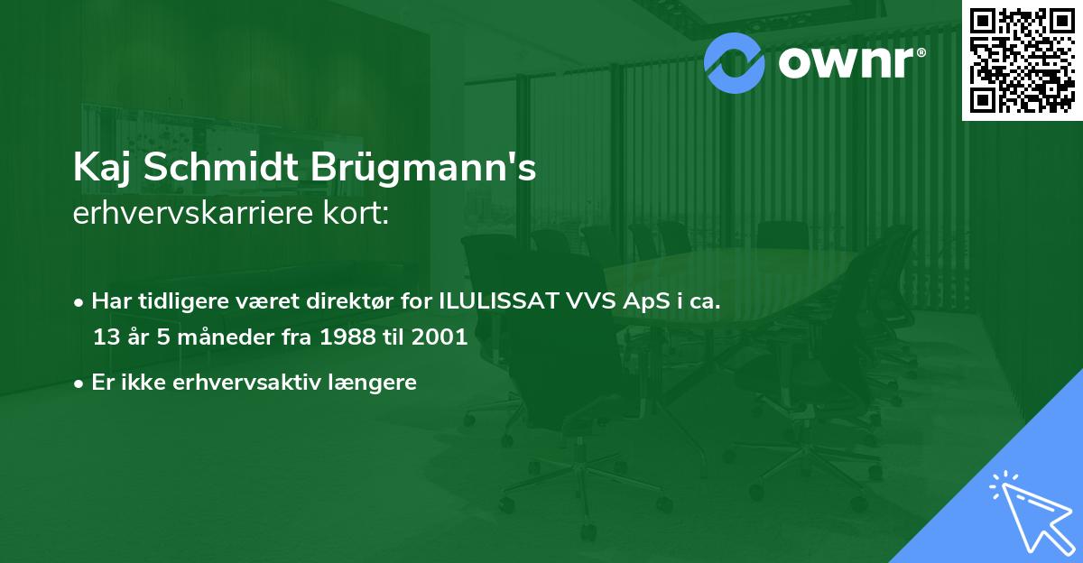 Kaj Schmidt Brügmann's erhvervskarriere kort