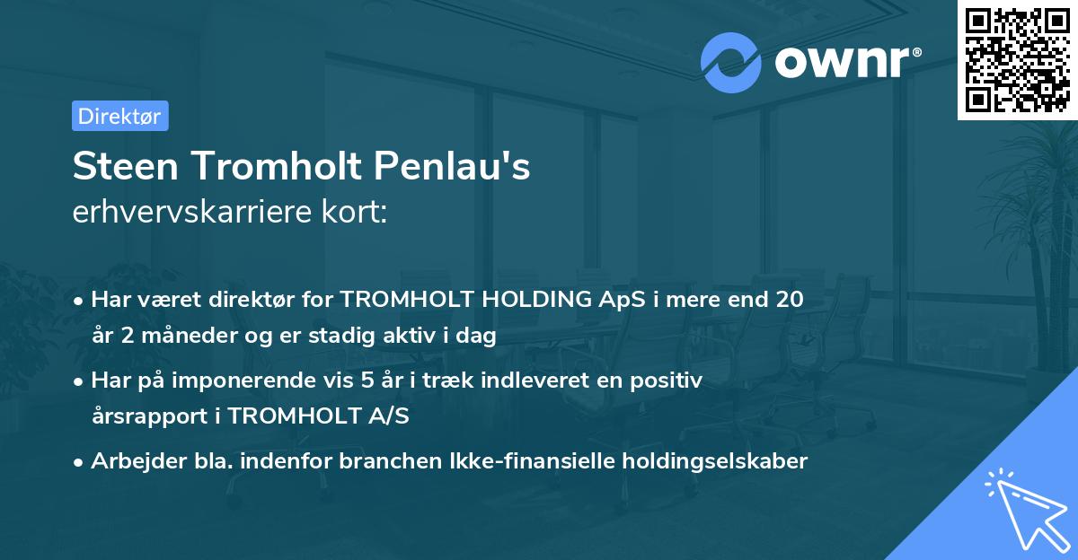 Steen Tromholt Penlau's erhvervskarriere kort