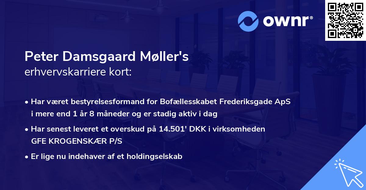 Peter Damsgaard Møller's erhvervskarriere kort