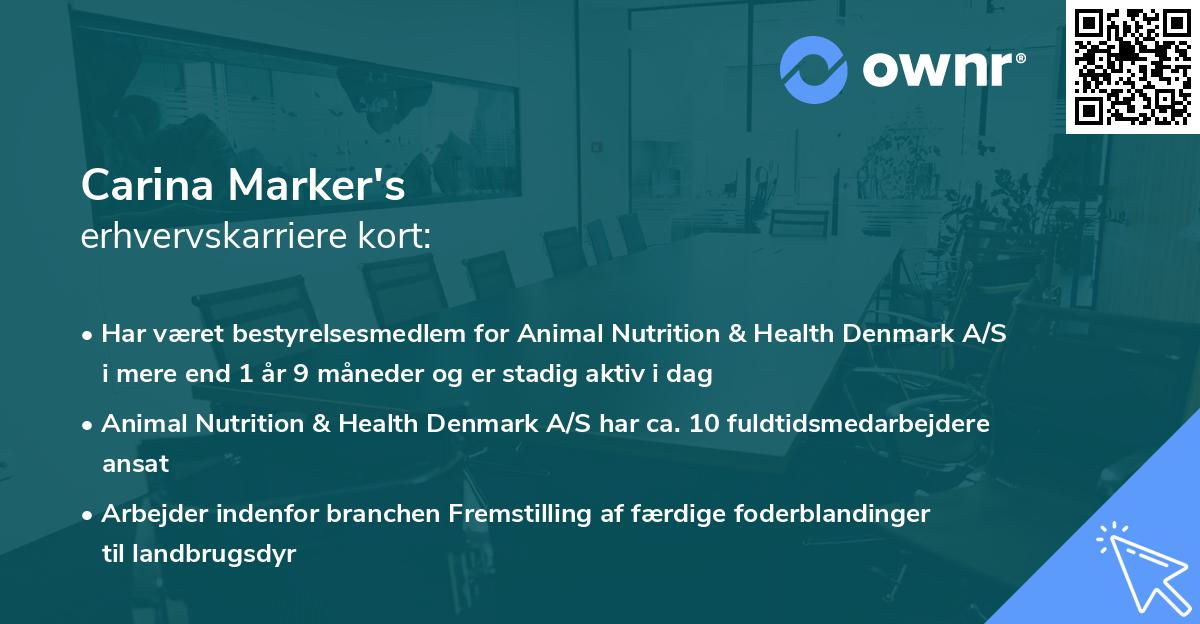 Carina Marker's erhvervskarriere kort