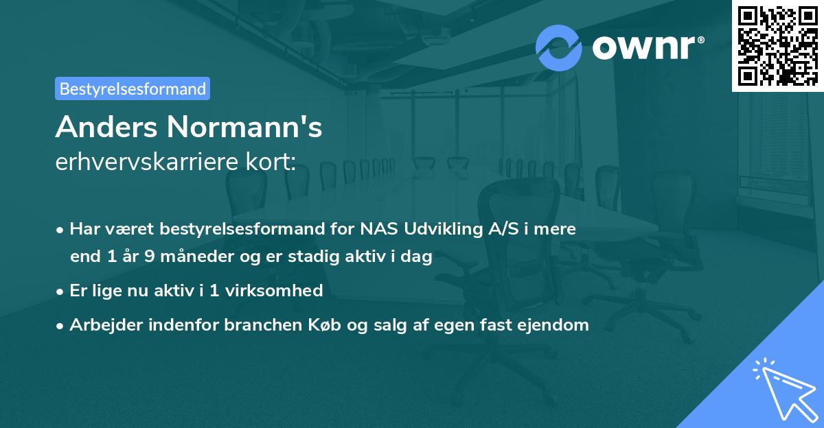 Anders Normann's erhvervskarriere kort