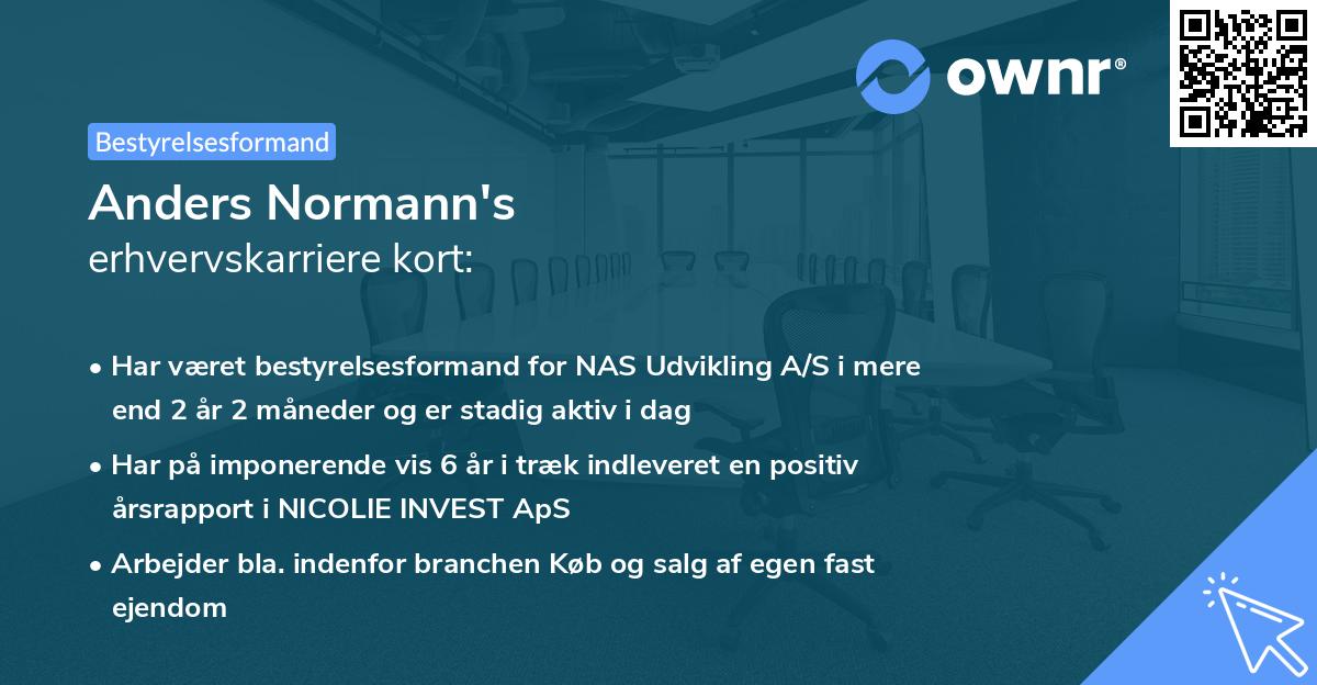 Anders Normann's erhvervskarriere kort