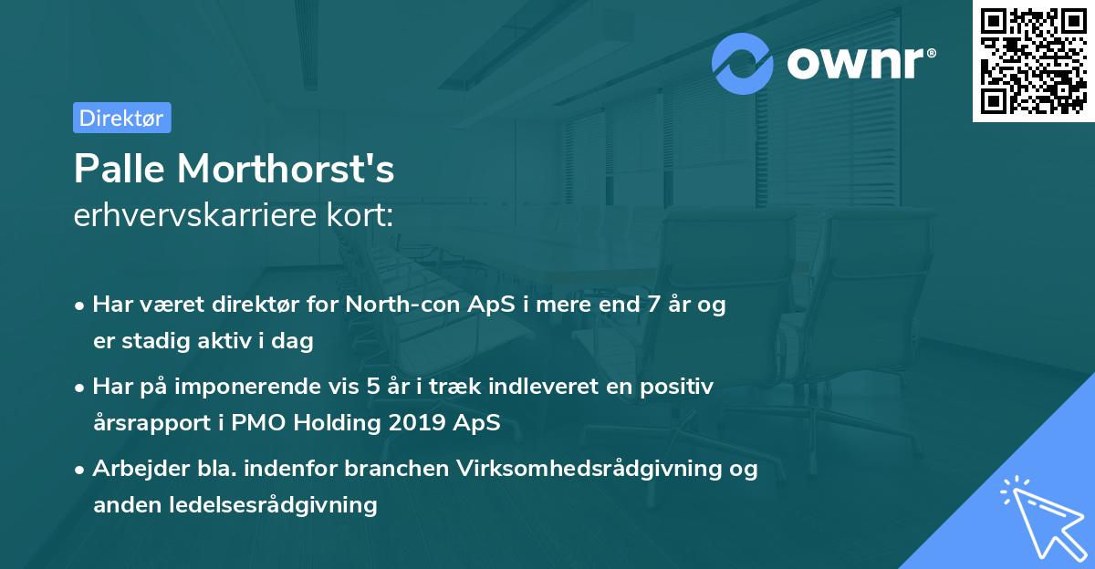Palle Morthorst's erhvervskarriere kort