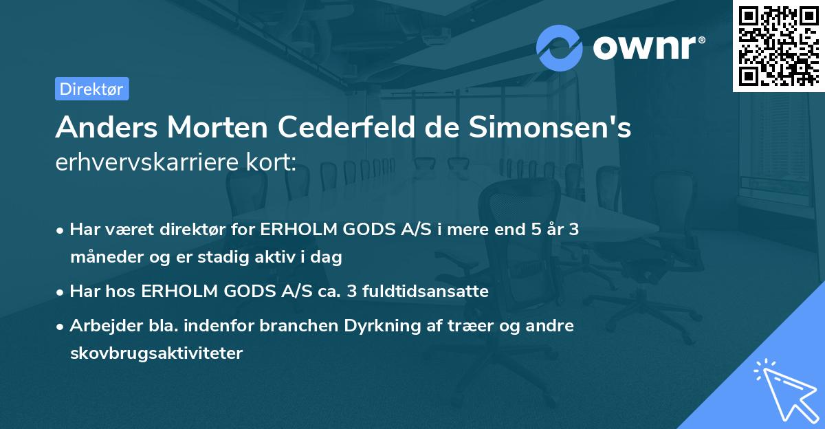 Anders Morten Cederfeld de Simonsen's erhvervskarriere kort
