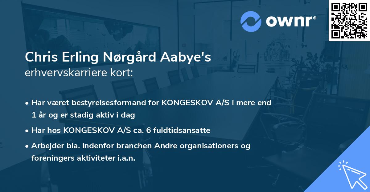 Chris Erling Nørgård Aabye's erhvervskarriere kort