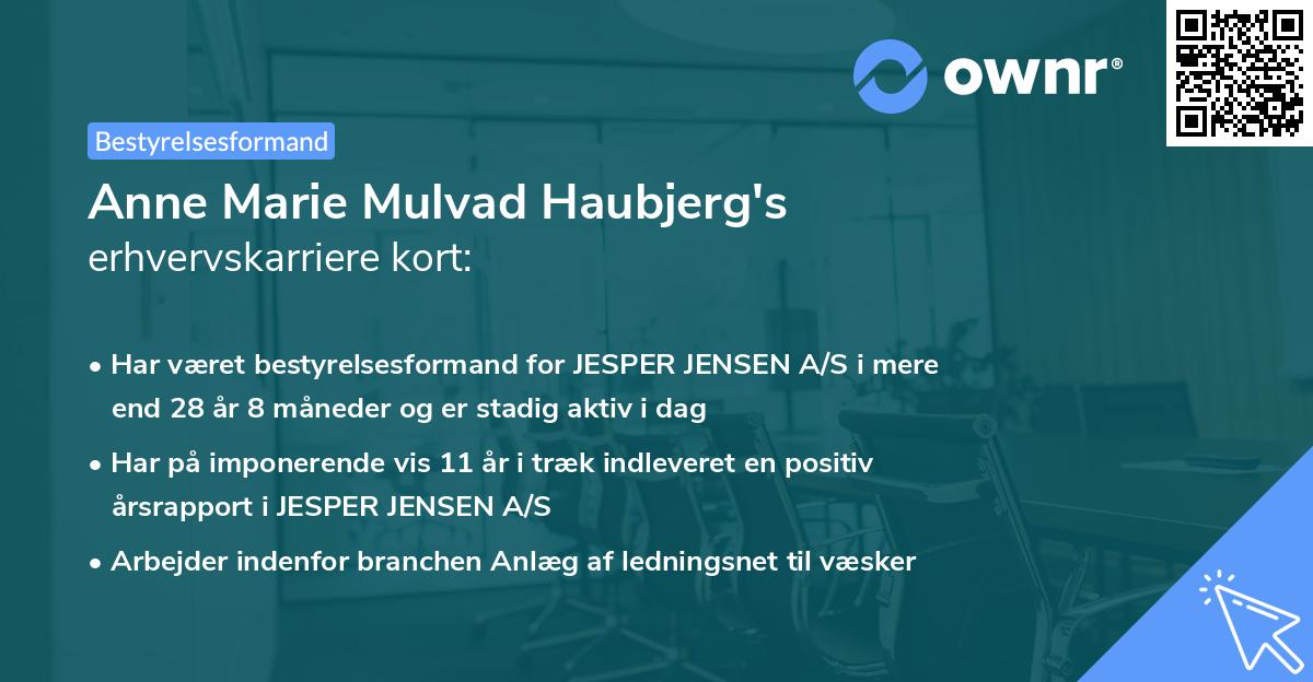 Anne Marie Mulvad Haubjerg's erhvervskarriere kort