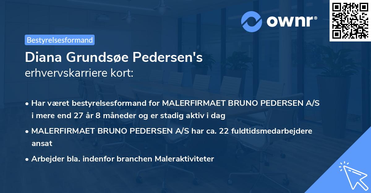 Diana Grundsøe Pedersen's erhvervskarriere kort