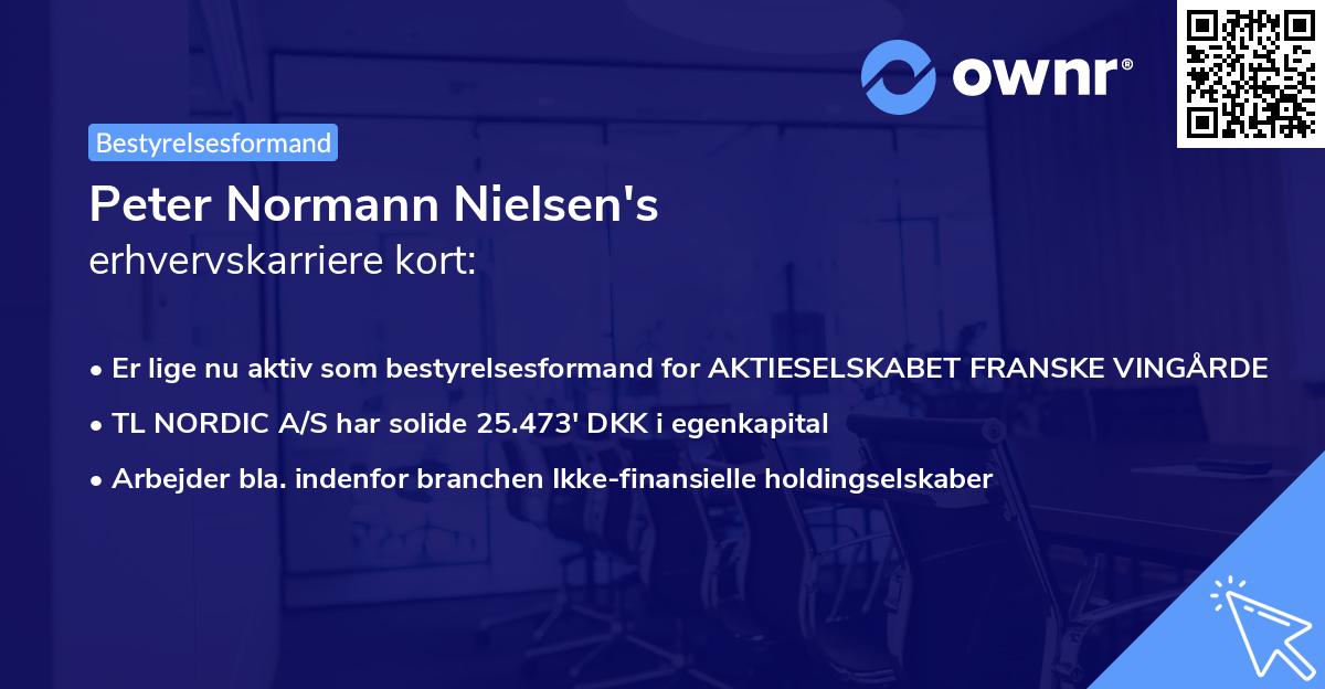 Peter Normann Nielsen's erhvervskarriere kort