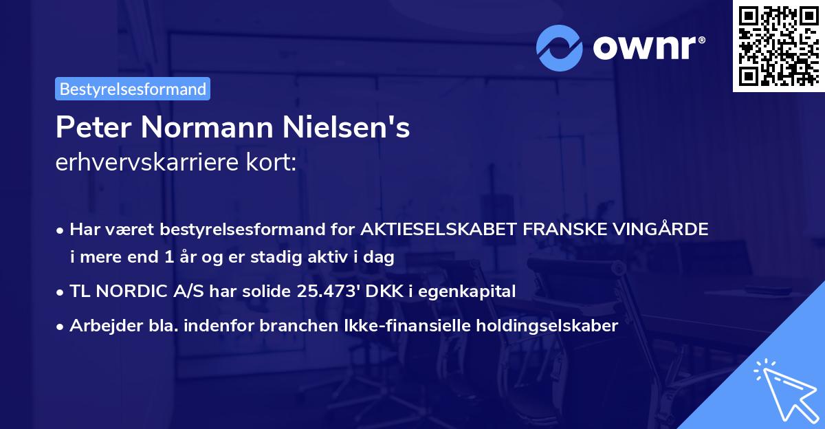 Peter Normann Nielsen's erhvervskarriere kort