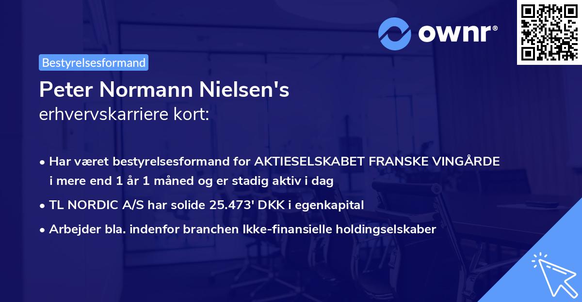 Peter Normann Nielsen's erhvervskarriere kort