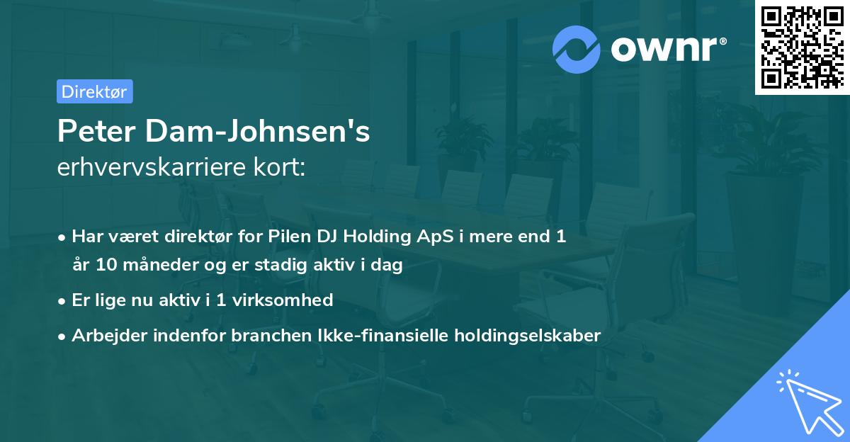 Peter Dam-Johnsen's erhvervskarriere kort