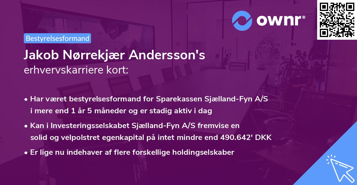 Jakob Nørrekjær Andersson's erhvervskarriere kort