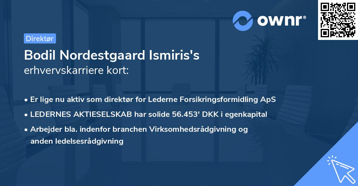 Bodil Nordestgaard Ismiris's erhvervskarriere kort