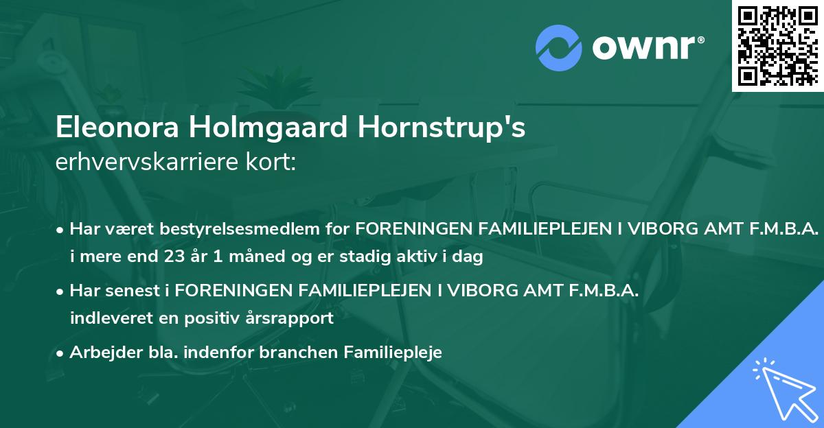 Eleonora Holmgaard Hornstrup's erhvervskarriere kort