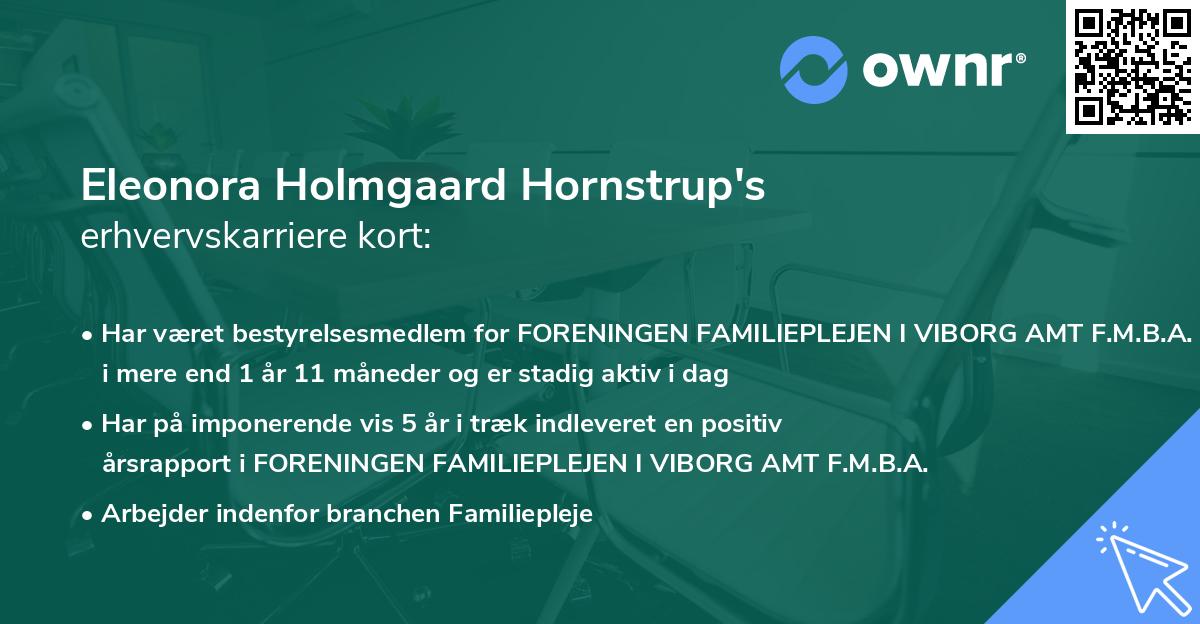 Eleonora Holmgaard Hornstrup's erhvervskarriere kort