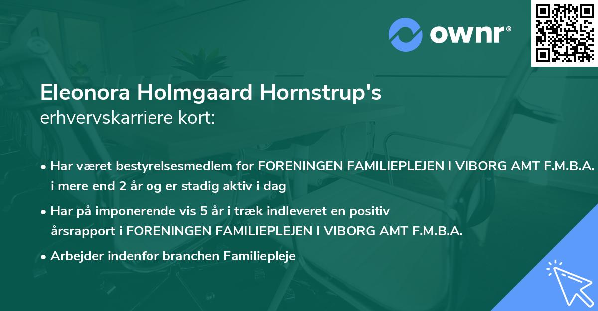 Eleonora Holmgaard Hornstrup's erhvervskarriere kort