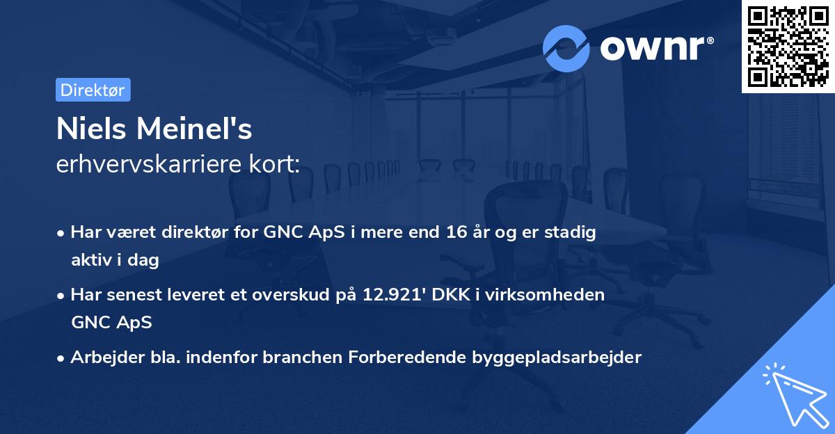 Niels Meinel's erhvervskarriere kort