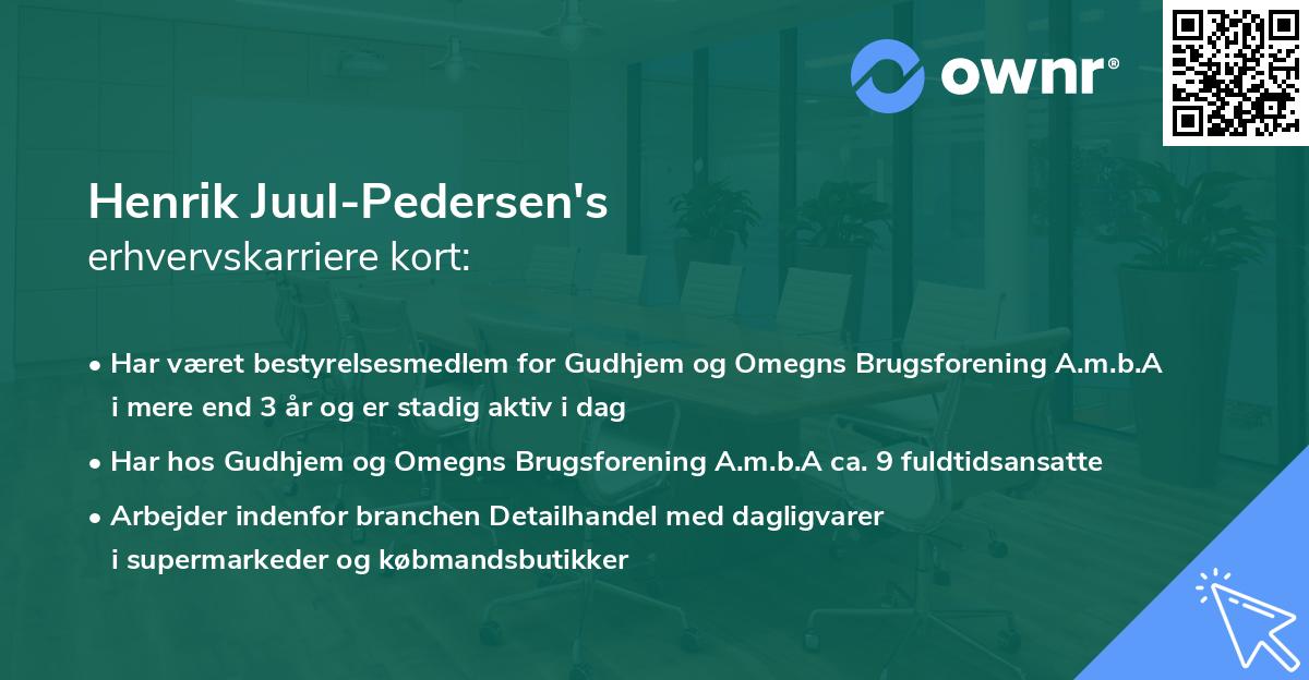 Henrik Juul-Pedersen's erhvervskarriere kort
