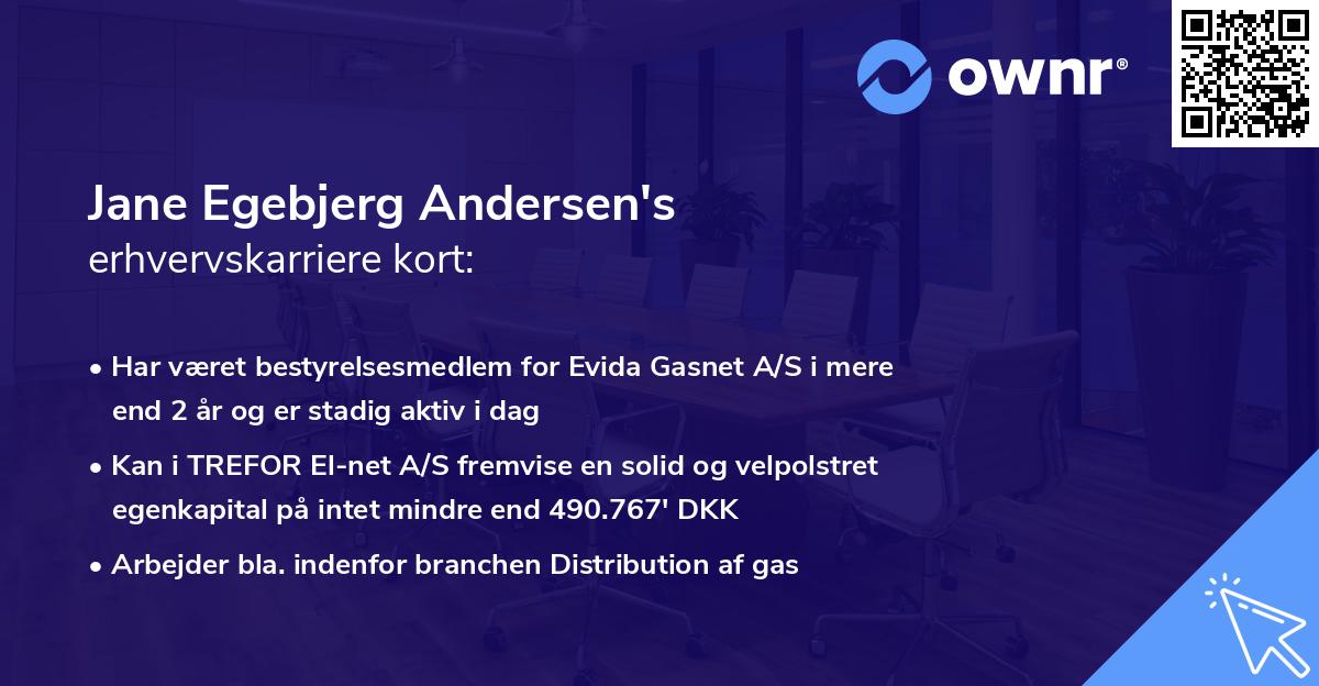 Jane Egebjerg Andersen's erhvervskarriere kort