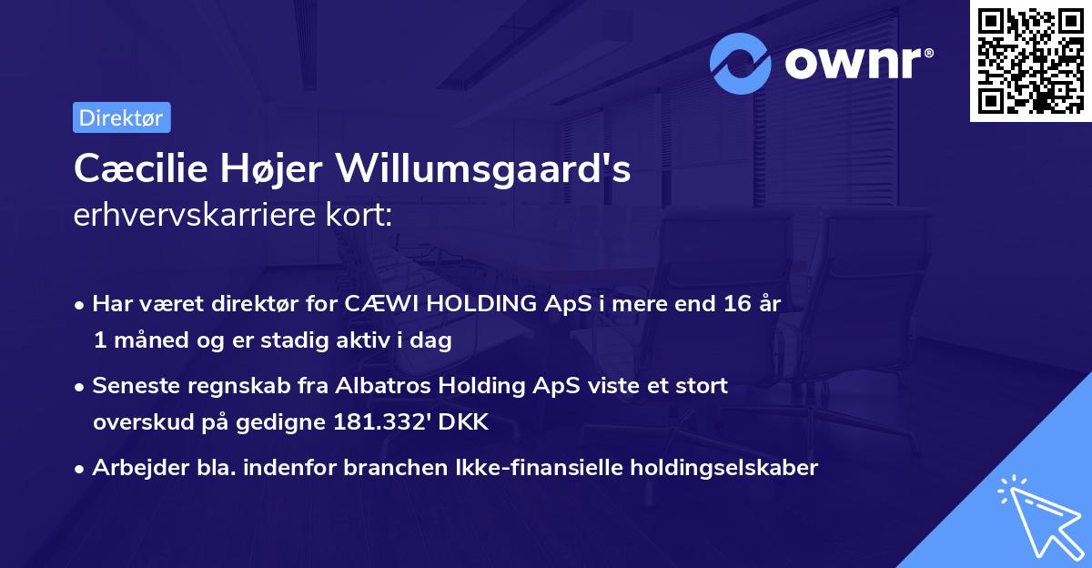 Cæcilie Højer Willumsgaard's erhvervskarriere kort
