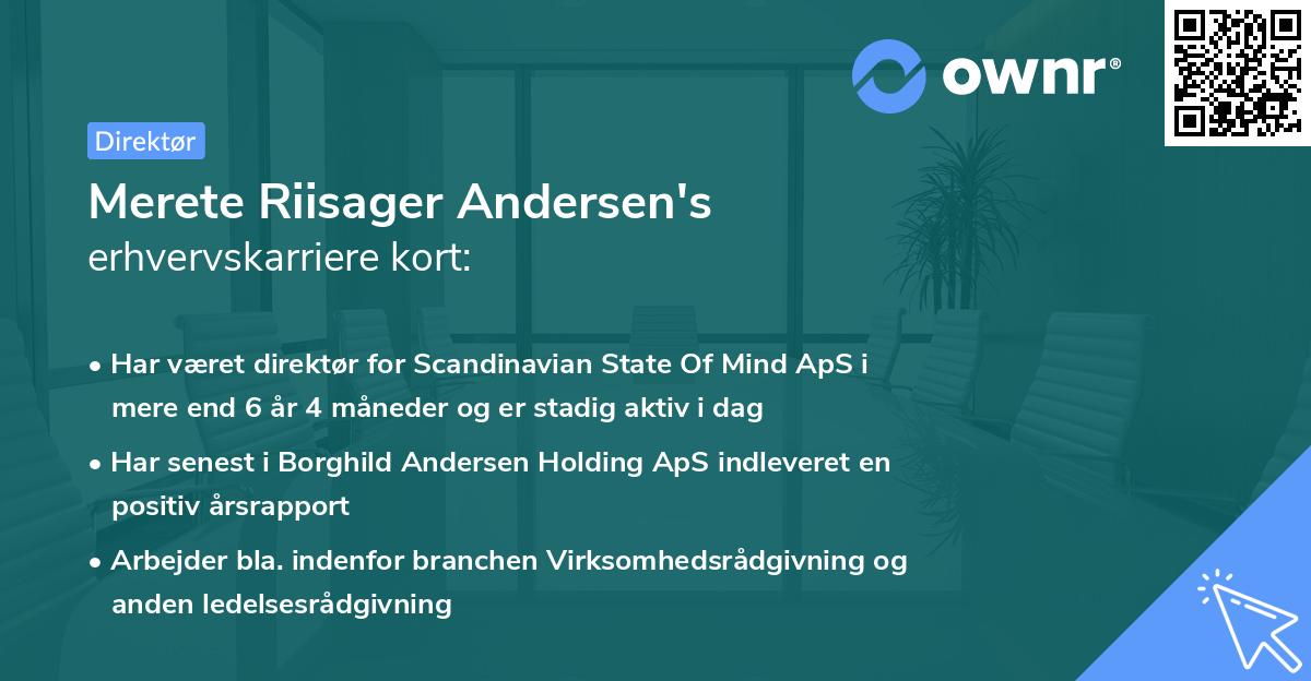 Merete Riisager Andersen's erhvervskarriere kort