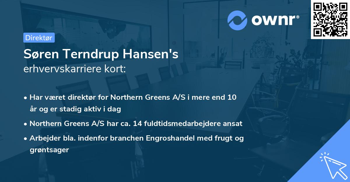 Søren Terndrup Hansen's erhvervskarriere kort