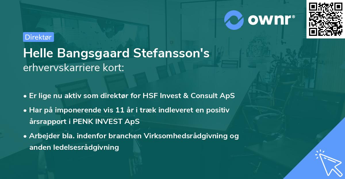 Helle Bangsgaard Stefansson's erhvervskarriere kort