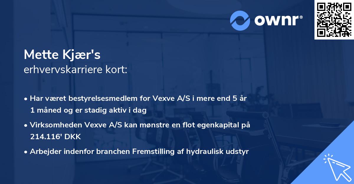 Mette Kjær's erhvervskarriere kort