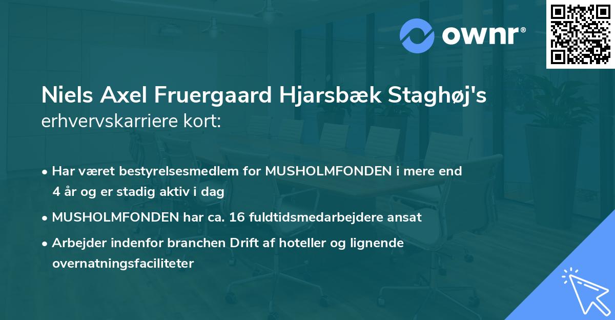 Niels Axel Fruergaard Hjarsbæk Staghøj's erhvervskarriere kort