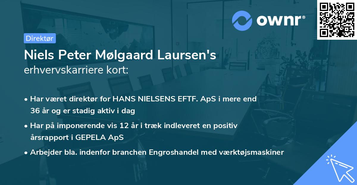 Niels Peter Mølgaard Laursen's erhvervskarriere kort