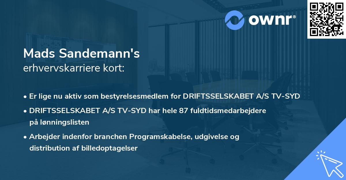 Mads Sandemann's erhvervskarriere kort