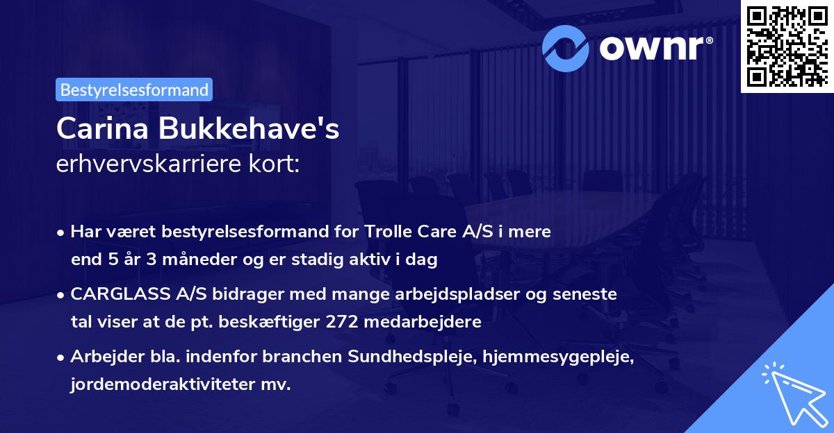 Carina Bukkehave's erhvervskarriere kort