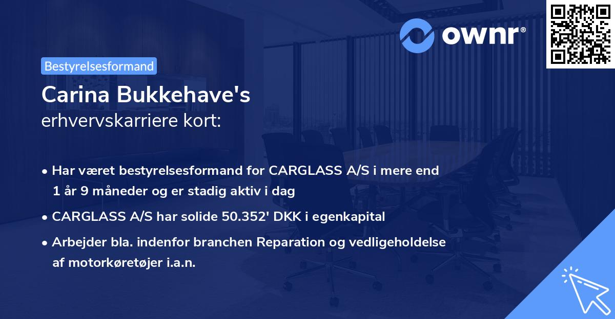 Carina Bukkehave's erhvervskarriere kort