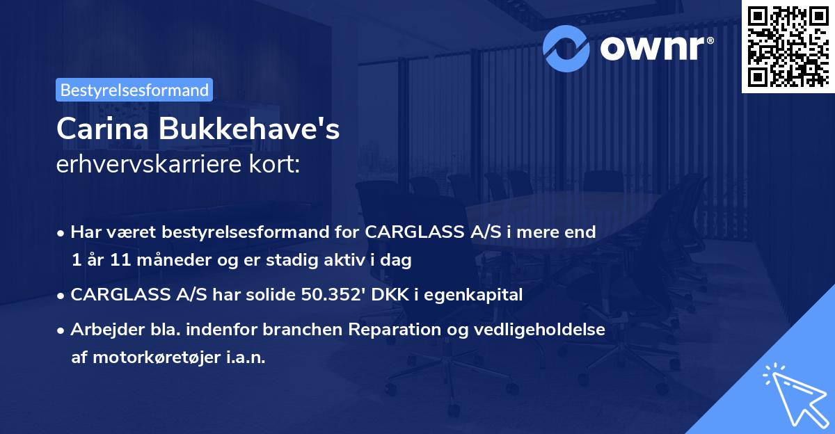Carina Bukkehave's erhvervskarriere kort
