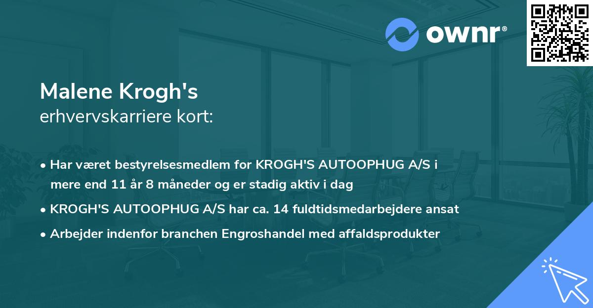 Malene Krogh's erhvervskarriere kort