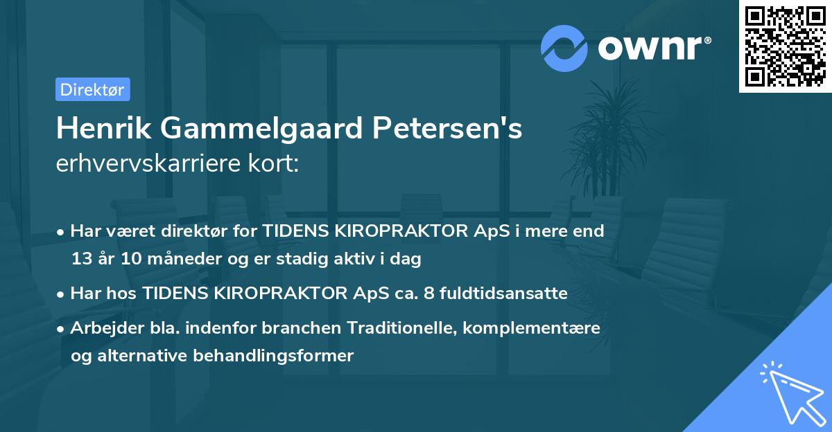 Henrik Gammelgaard Petersen's erhvervskarriere kort