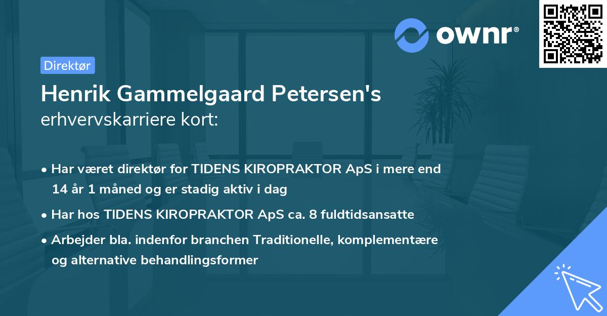 Henrik Gammelgaard Petersen's erhvervskarriere kort