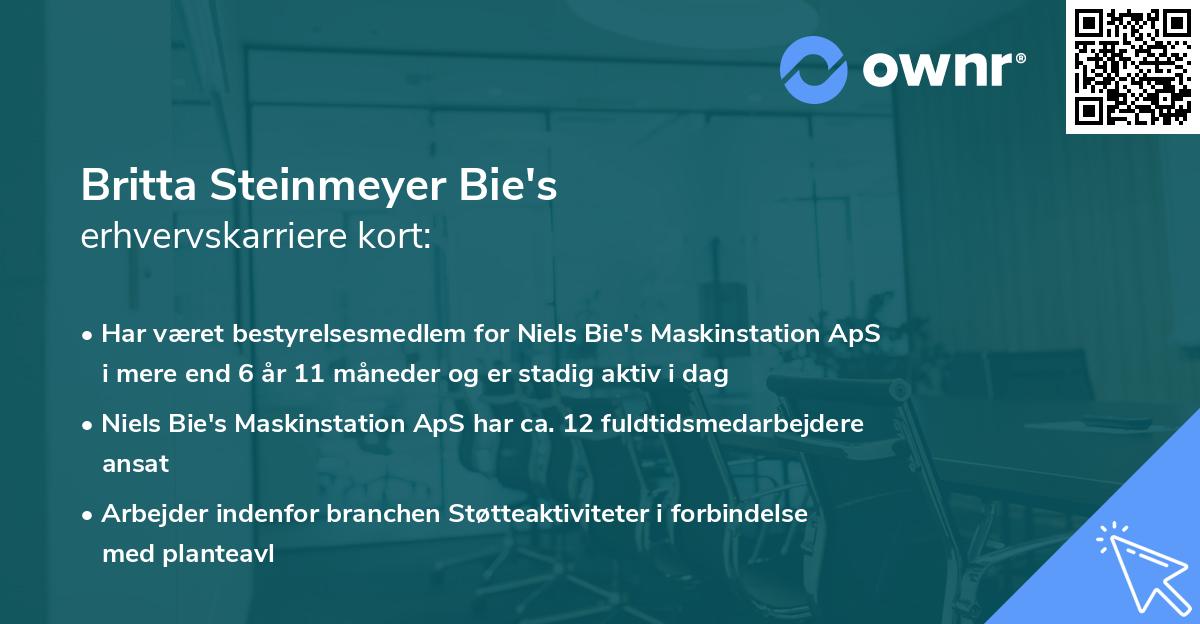 Britta Steinmeyer Bie's erhvervskarriere kort