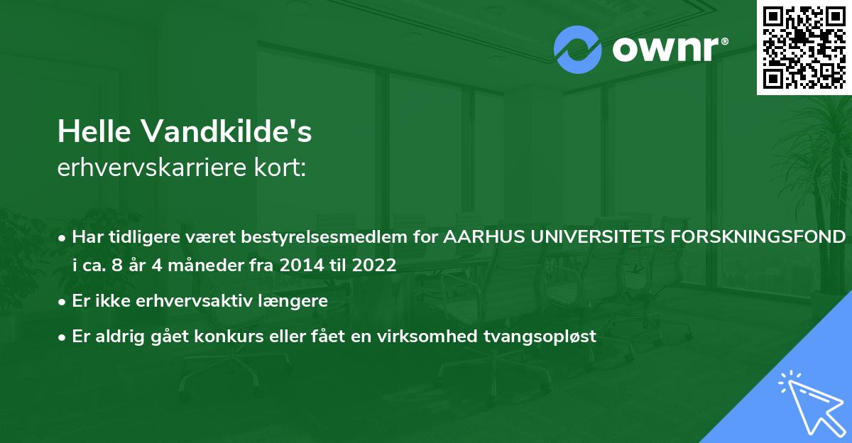 Helle Vandkilde's erhvervskarriere kort