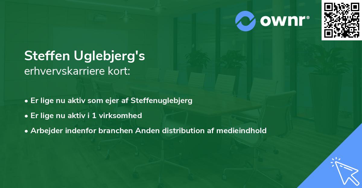 Steffen Uglebjerg's erhvervskarriere kort