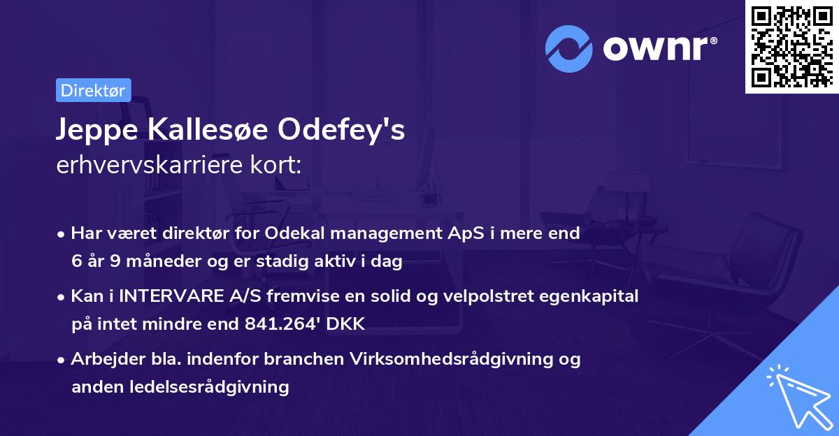 Jeppe Kallesøe Odefey's erhvervskarriere kort