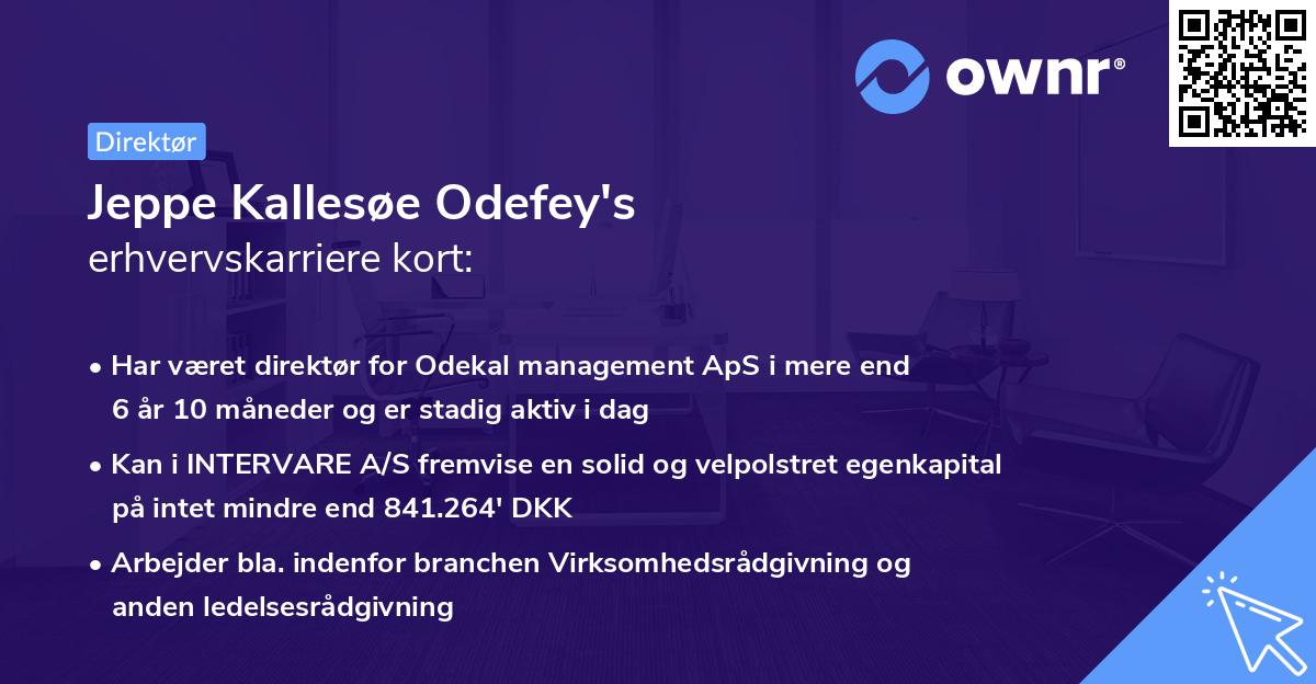Jeppe Kallesøe Odefey's erhvervskarriere kort