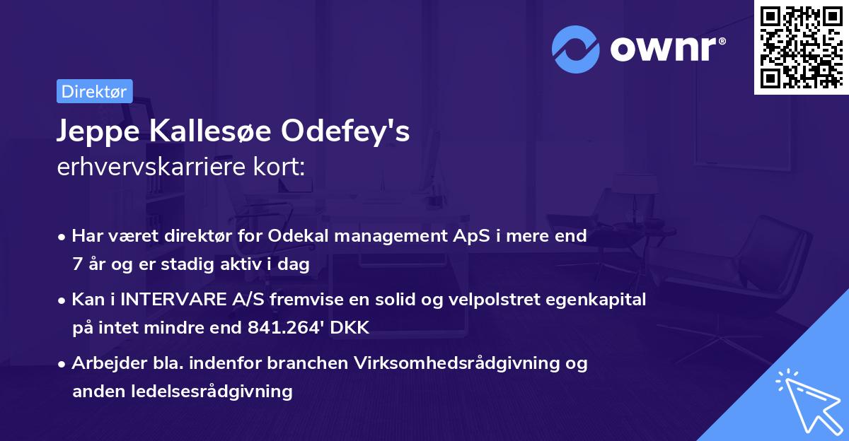 Jeppe Kallesøe Odefey's erhvervskarriere kort